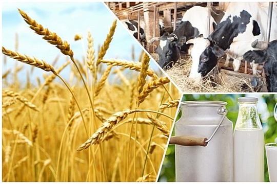 Рекордтық 580 млрд теңге егіншілерді қолдауға бағытталды