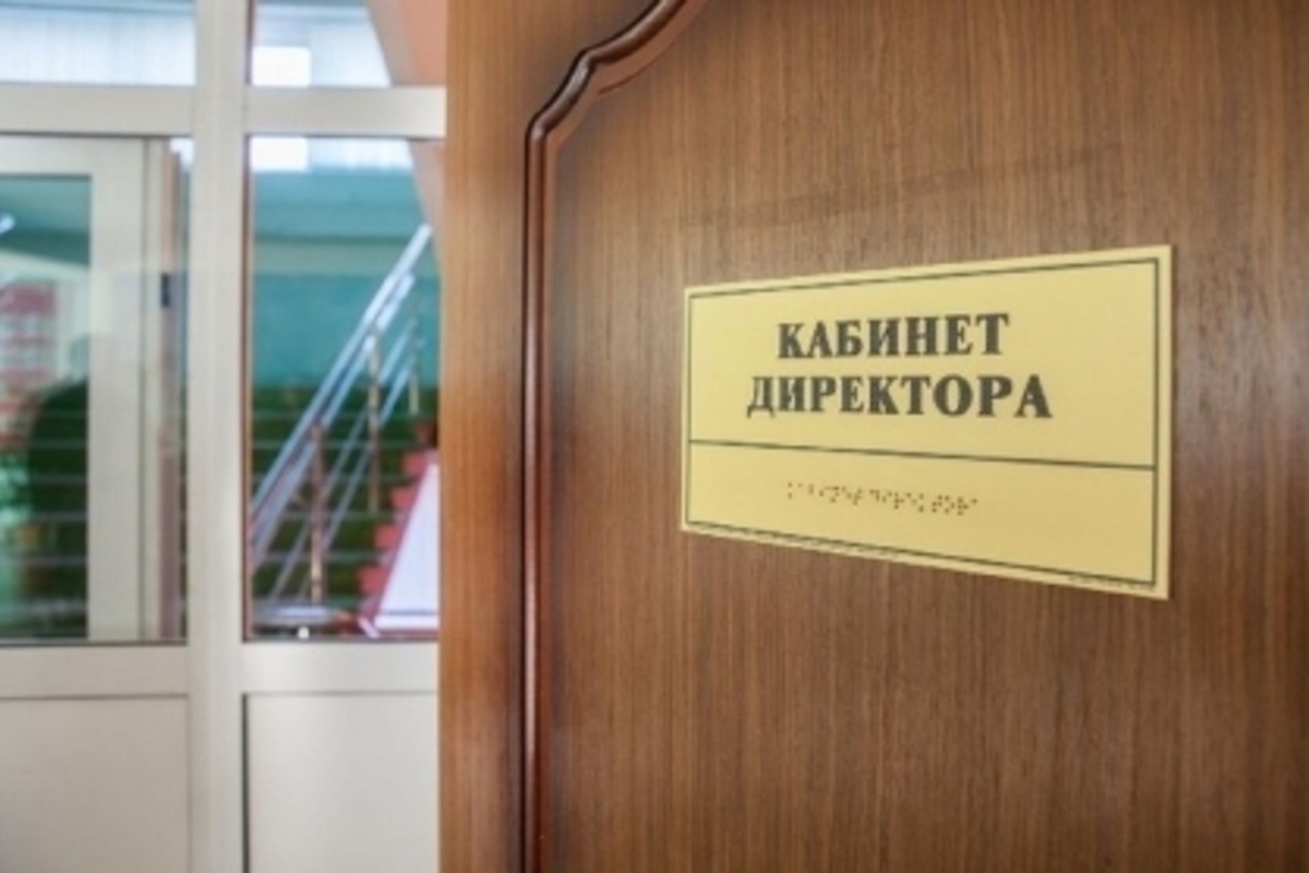 "Директордың шайына дәрі қосып, жындыханадан бір-ақ шығарады екен" дейді журналист