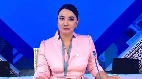 "Қызың "секс джихадқа" кетіп, ұлың халифат құрам дегенде" қайда едіңдер?" деп адвокат үндеу жасады