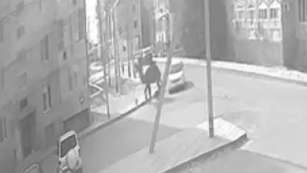 Аулада ойнап жүрген баланы түйе таптап тастаған.