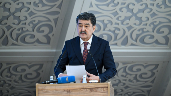 Ерлан Нысанбаев елдегі экологиялық жағдай туралы айтты