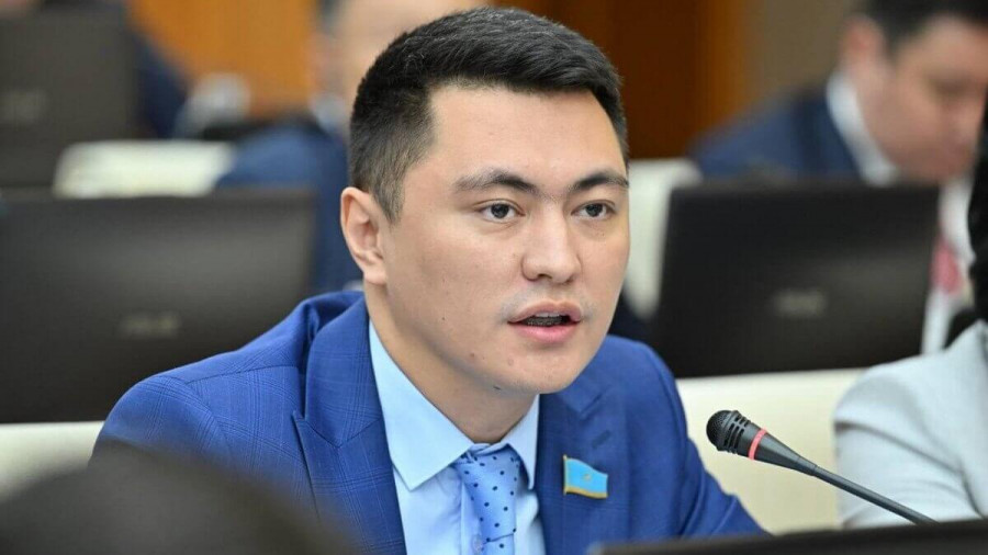 "Қара қытай қаптады" деген дабылға қатысты депутат пікір білдірді