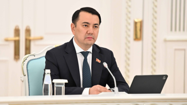 Марлен Маматалиев Қасым-Жомарт Тоқаевқа кездесу үшін алғыс айтып, Президент Садыр Жапаровтың ыстық ықыласын жеткізді