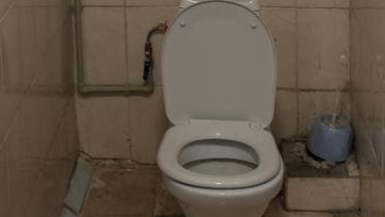 Қабырғасы көгерген, тарақаны жыбырлаған: Алматы студенттері қандай жағдайда тұрып жатыр?